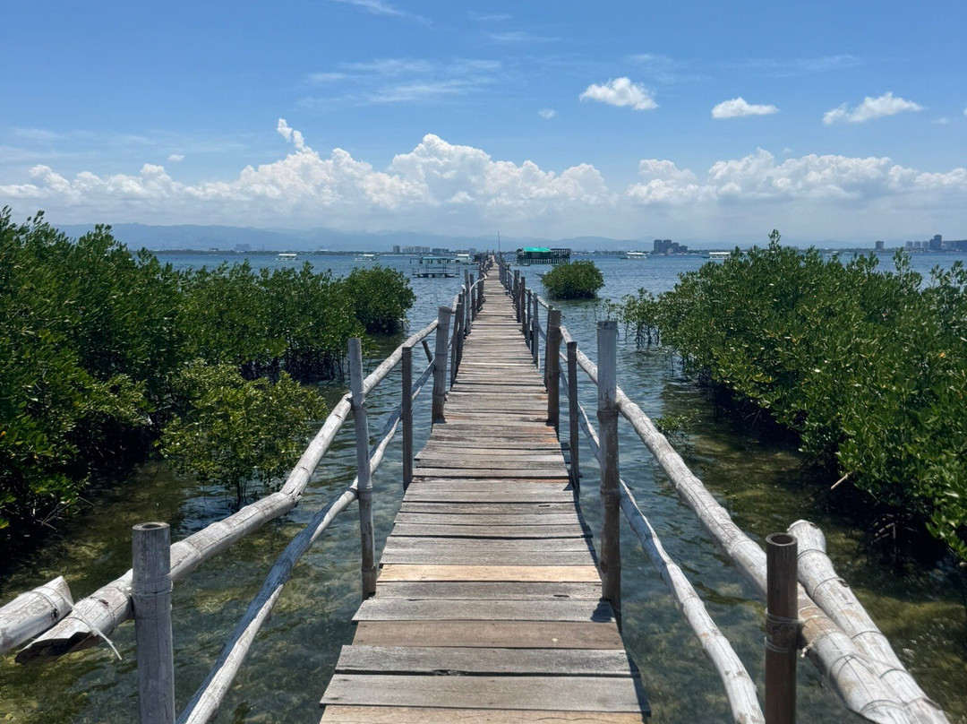 San Vicente Marine Sanctuary景点图片