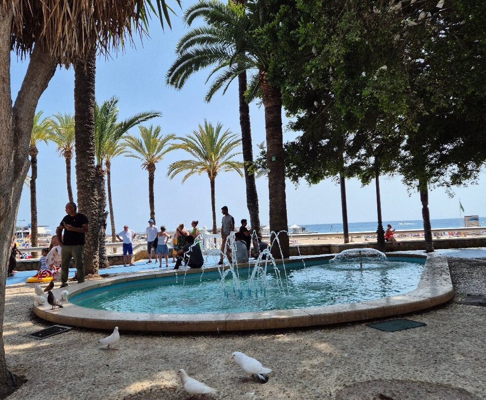 Parc d'Elx-贝尼多姆必去景点