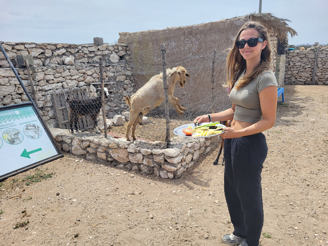 Hafida boutargua-Sidi Kaouki必去景点