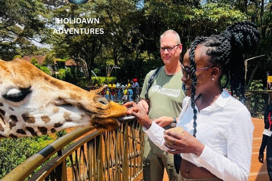 Holidawn Adventures Tours &Travels