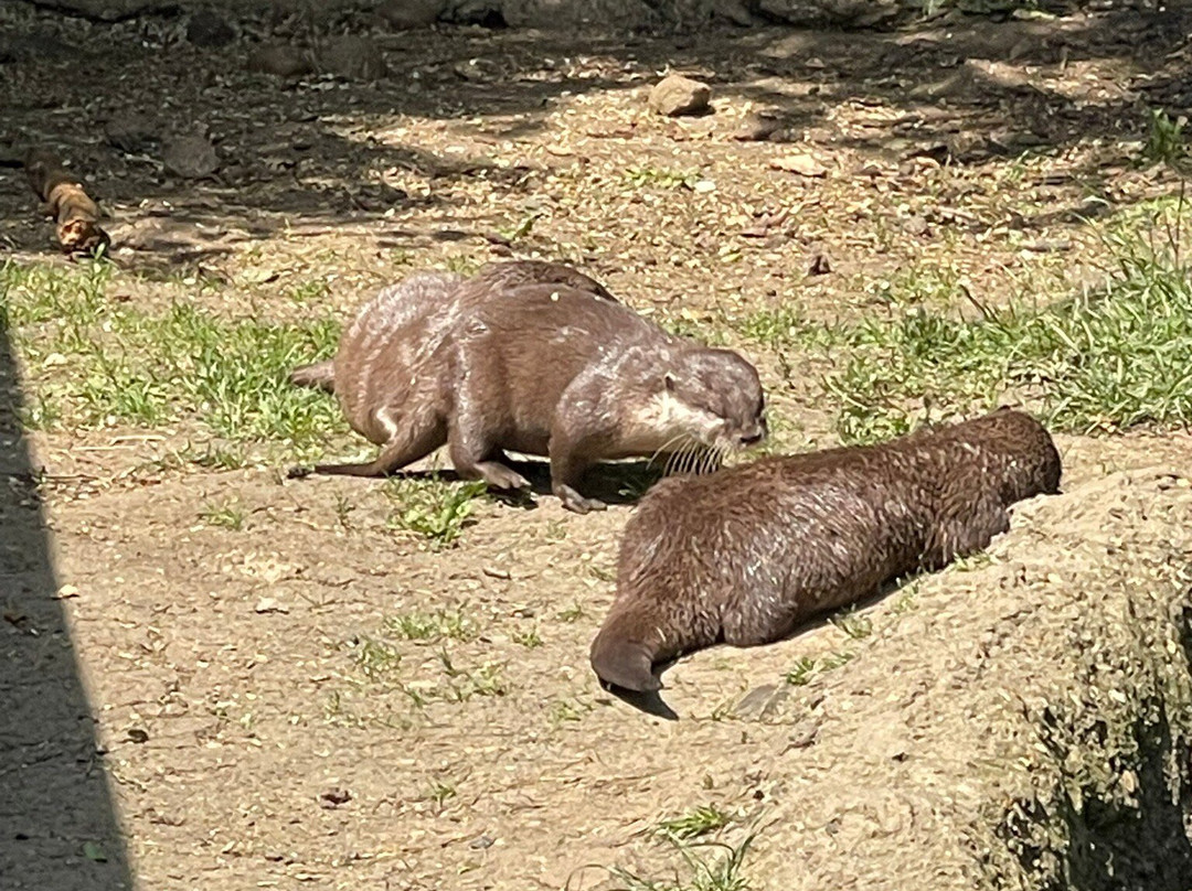 Hamerton Zoo Park-Sawtry必去景点