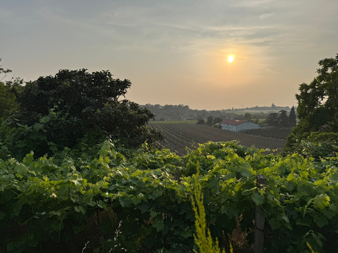 Relais Des Roches主图