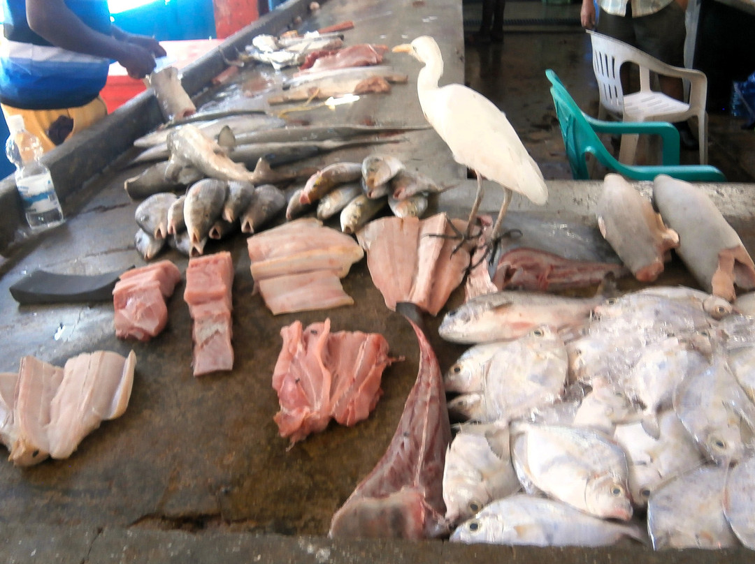 维多利亚市场-维多利亚必去景点