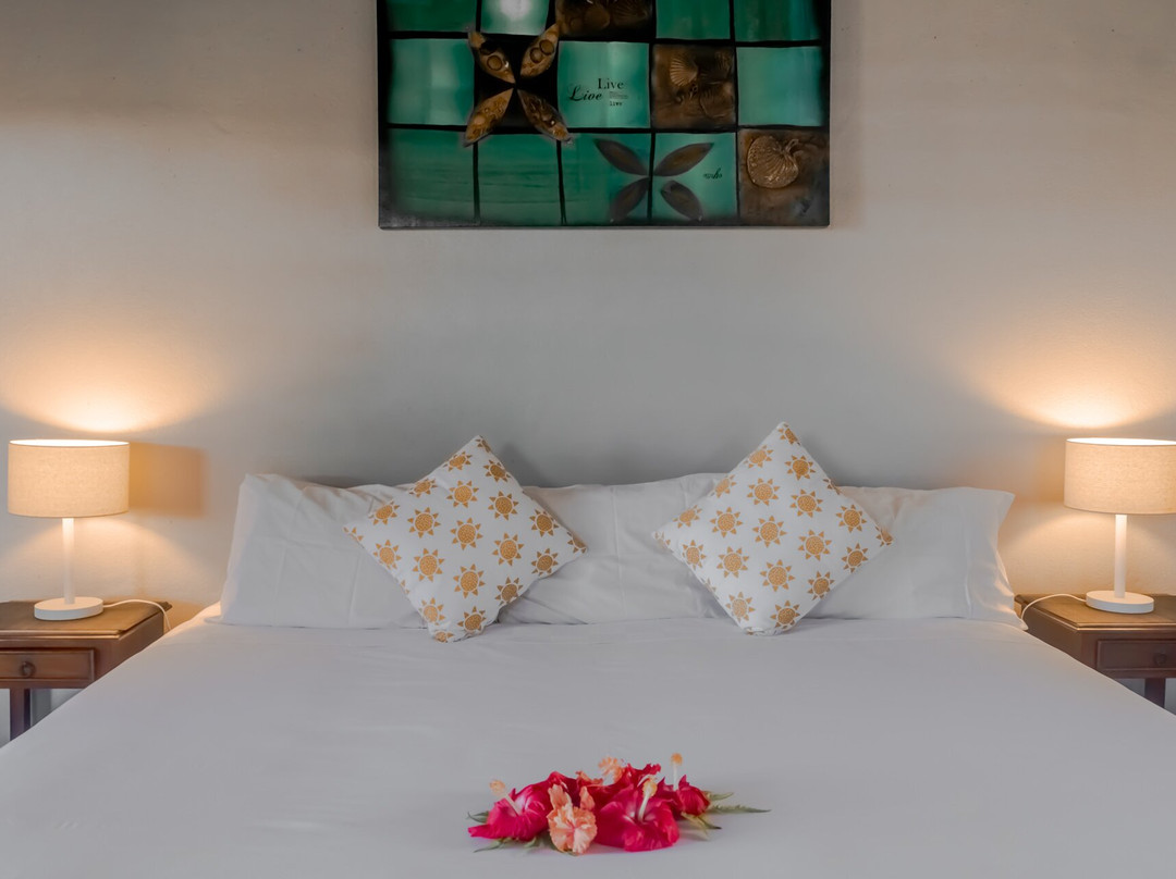 塔韦马尼岛阿罗哈主图