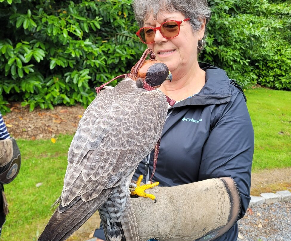 Newgrange Falconry-Julianstown必去景点