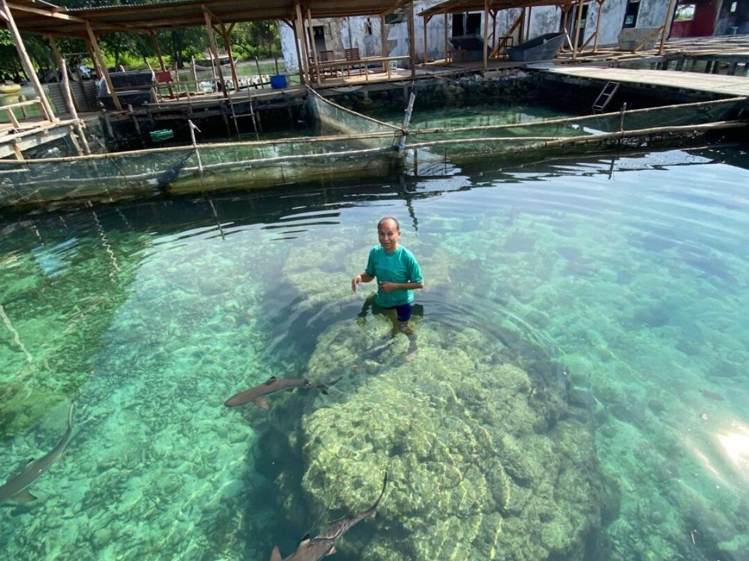 Karimunjawa Paket