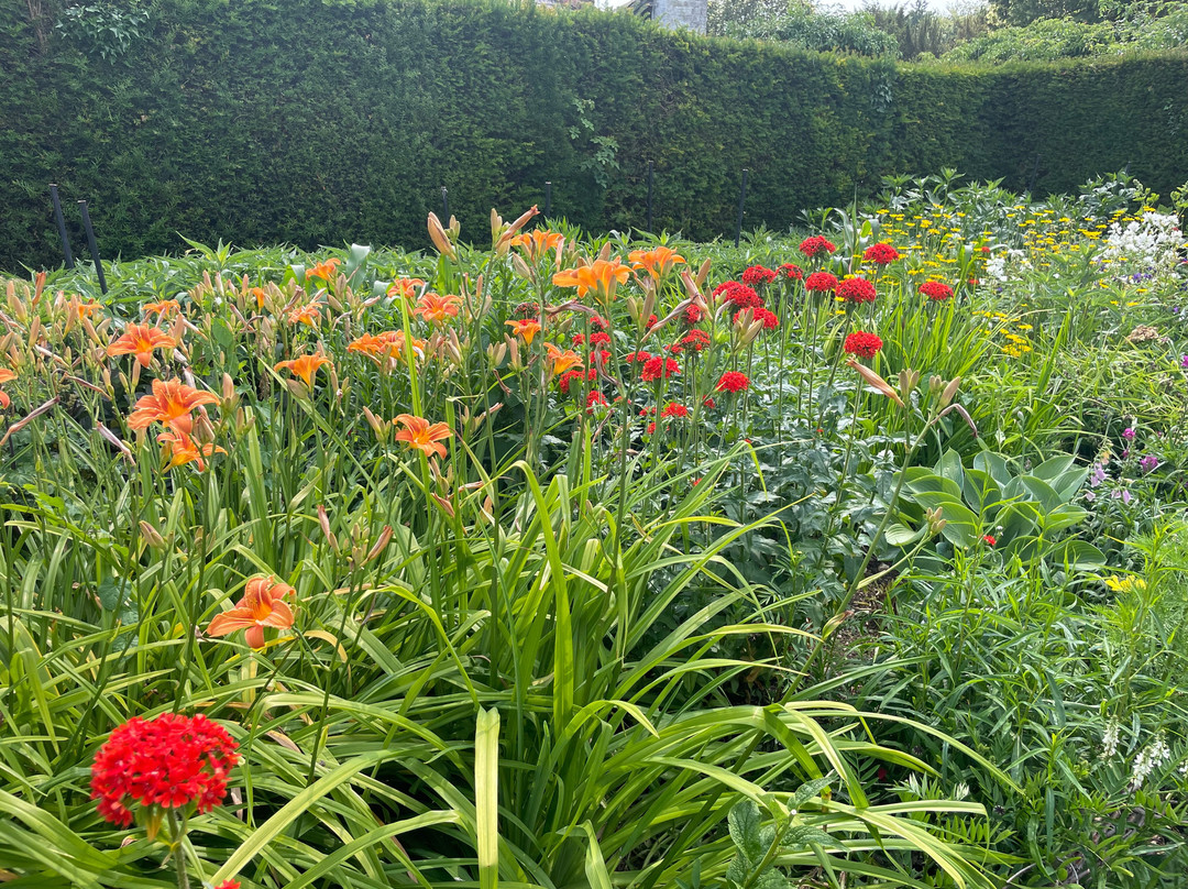 The Manor House-Upton Grey必去景点