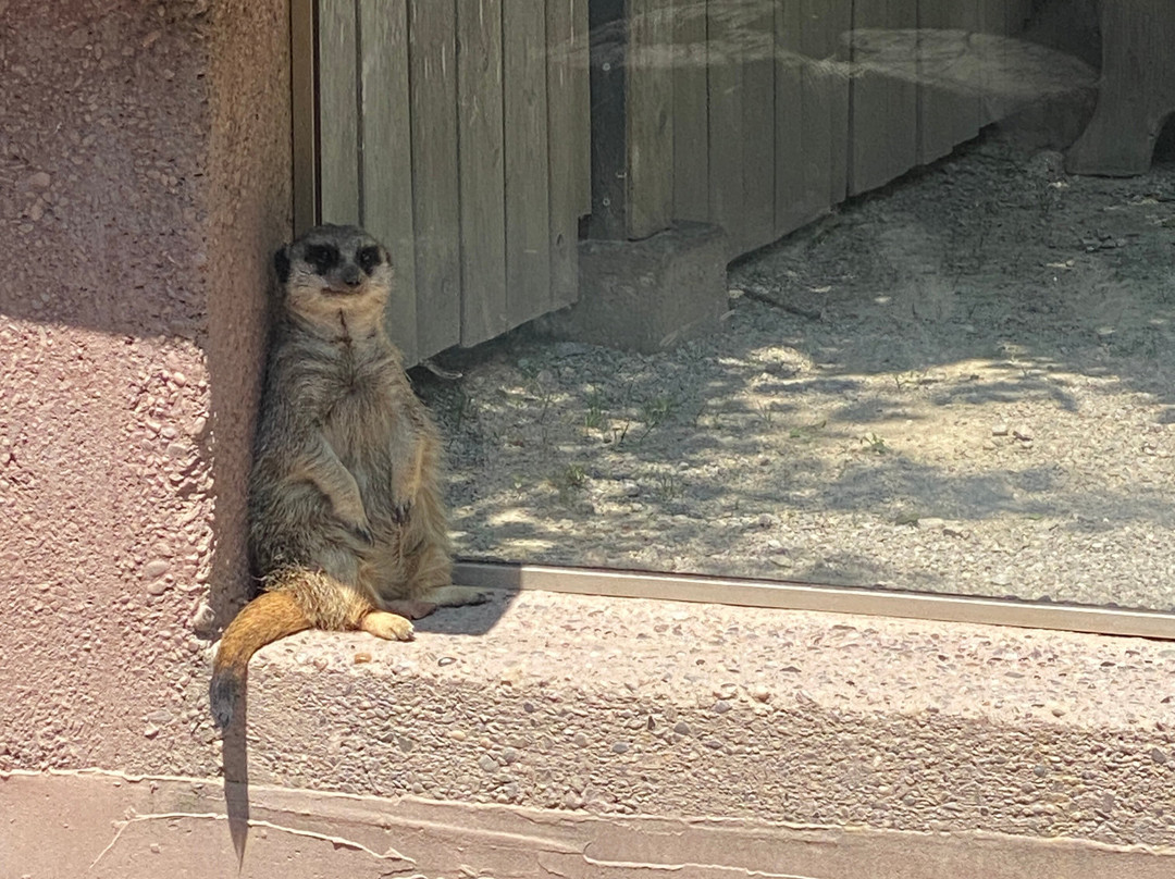 Raritätenzoo Ebbs-埃布斯必去景点