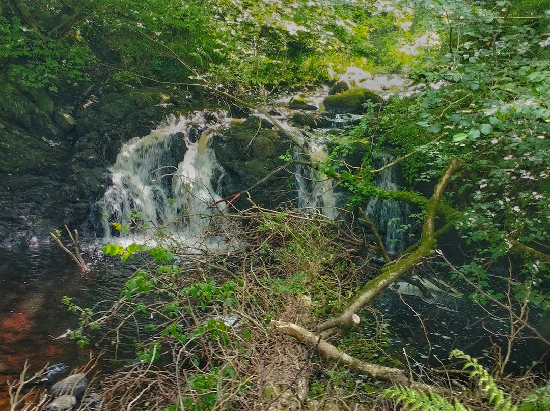 Glenariff Forest Park-County Antrim必去景点