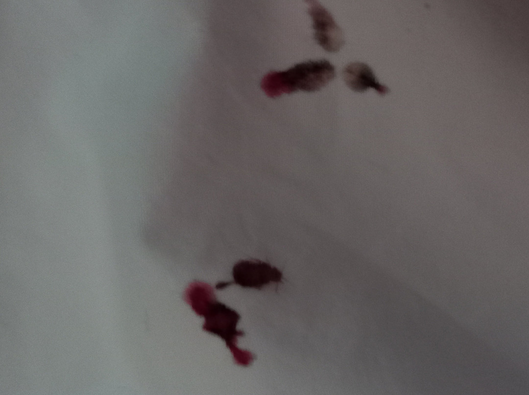 La roche des Fées-拉布尔布尔必去景点