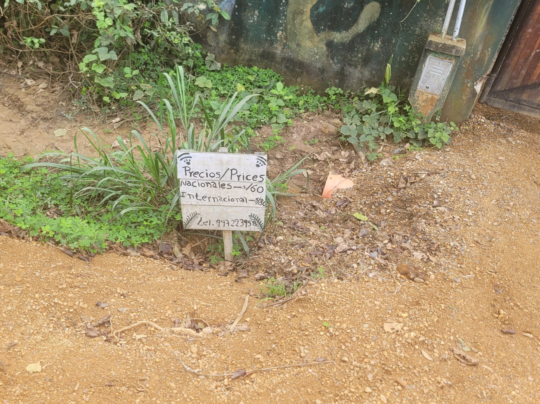 Amazon Shelter-马尔多纳多港必去景点