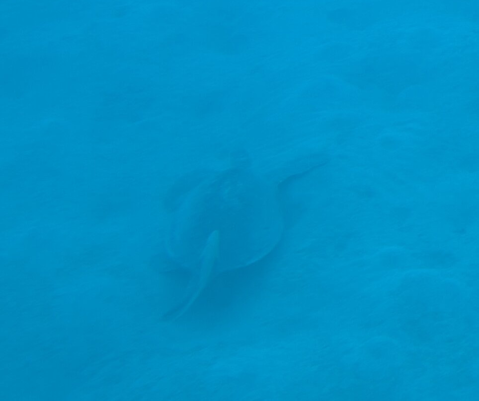 Royal Sea Scope-马萨阿拉姆必去景点