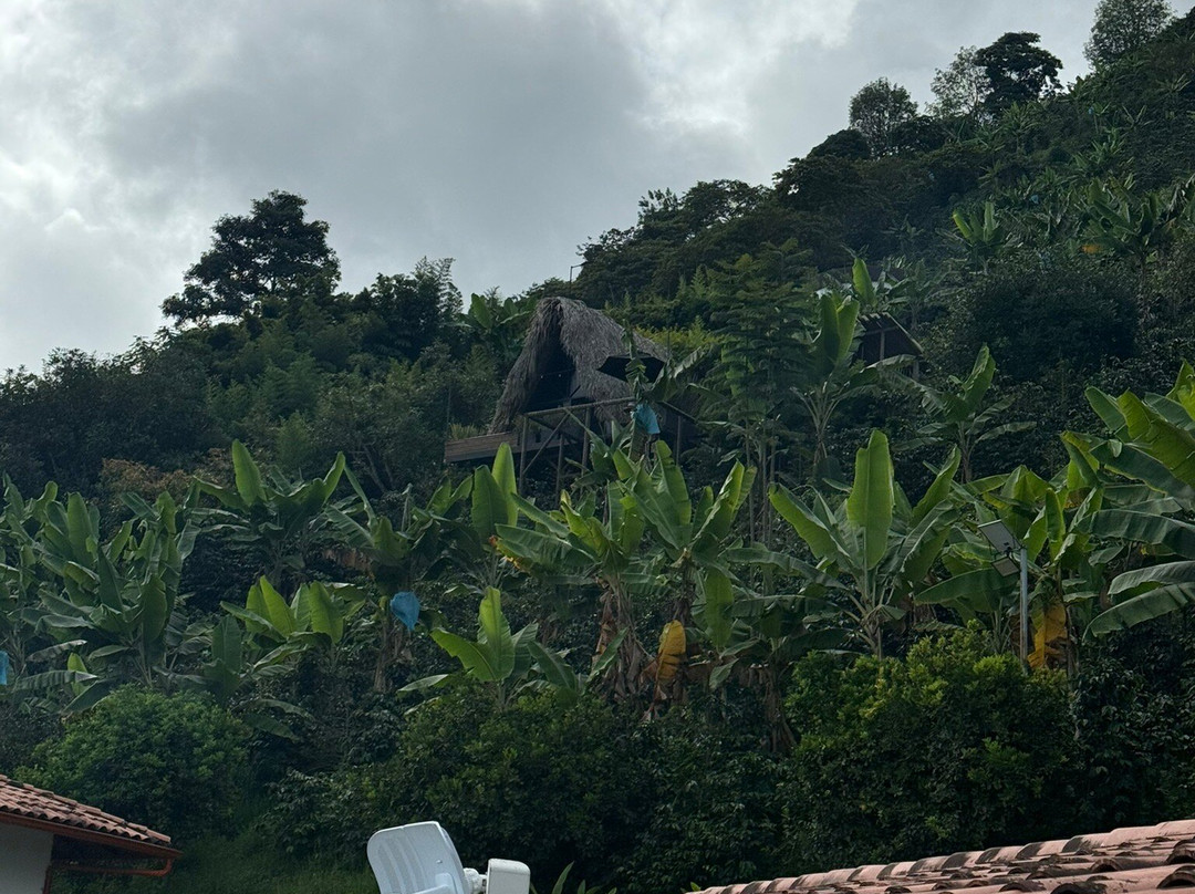 La Cima Eco Hotel主图