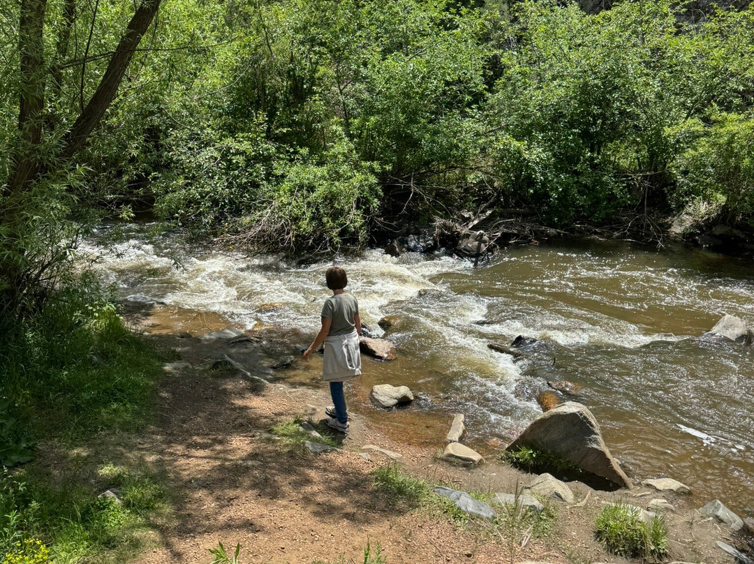 Lair O' the Bear Park-Morrison必去景点