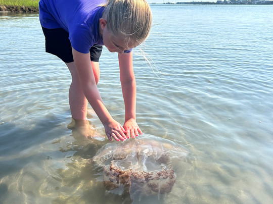 Captain Barry's BackBay Cruises-钦科蒂格岛必去景点