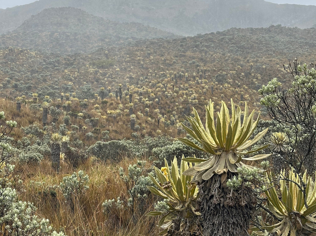 Volcano Adventures-Manizales必去景点