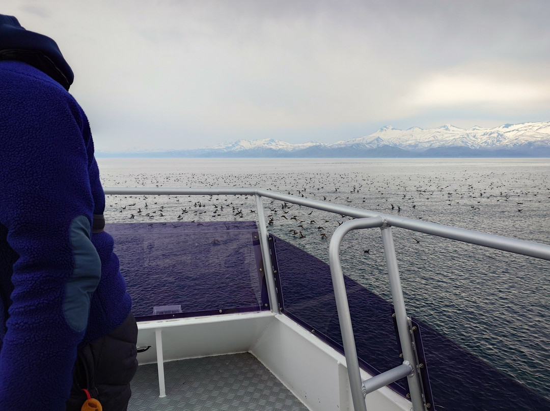 Shiretoko Nature Cruise - Day Tours-罗臼町必去景点