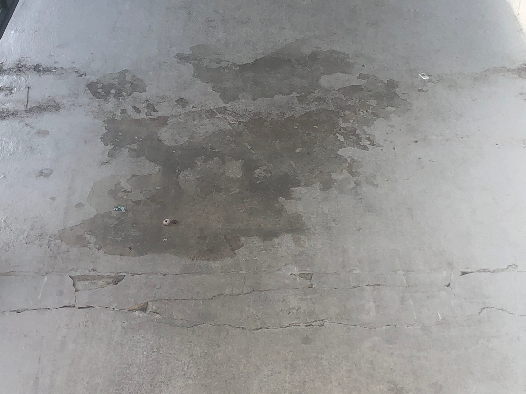 Charleston Creekside Inn主图