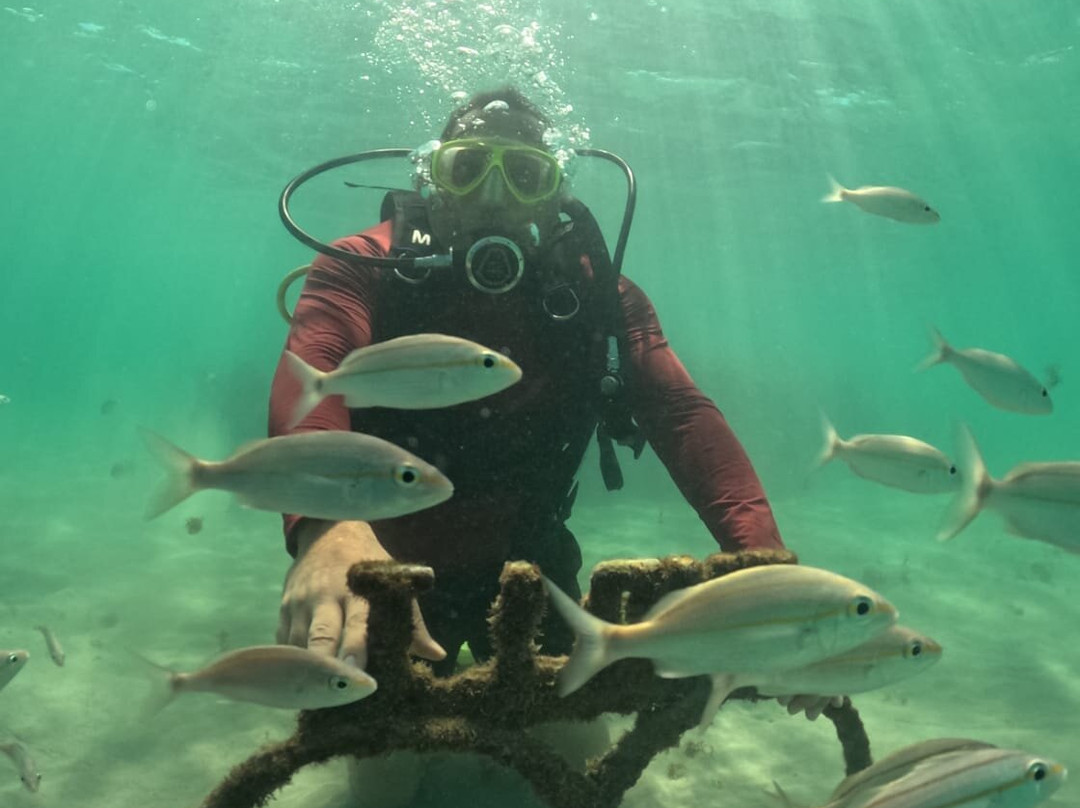 Maracajau Beach-Maracajau必去景点