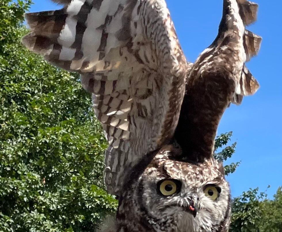 Suffolk Owl Sanctuary-Stonham Aspal必去景点