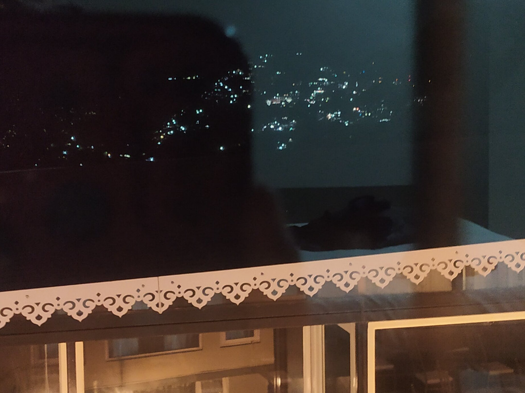 Sood's Himalayan Vista主图