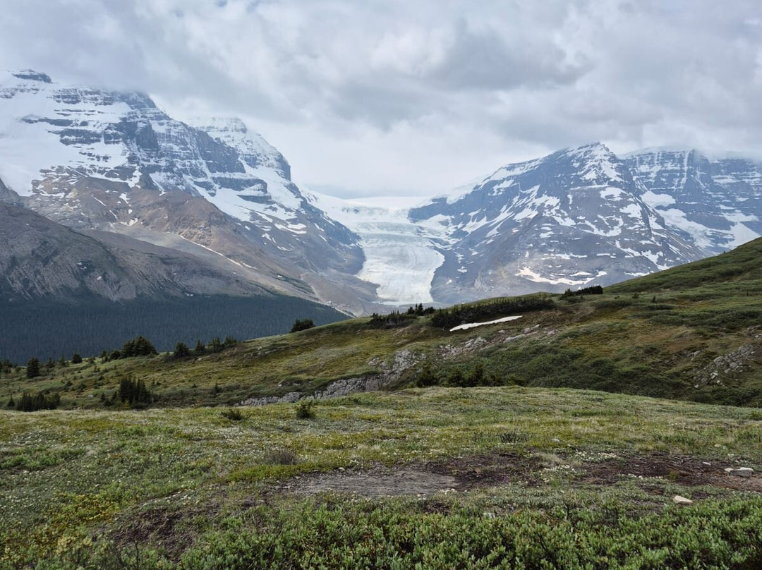 Timberwolf Tours-埃德蒙顿必去景点