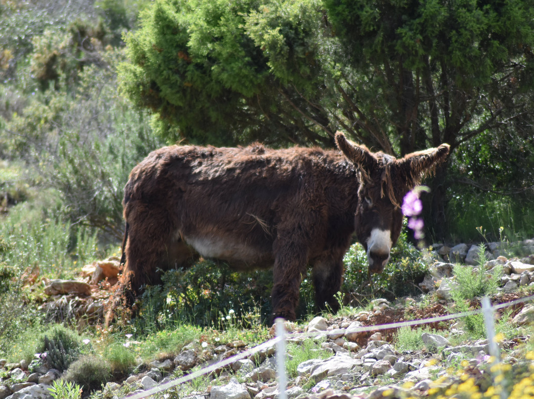Mirador de Bernia-Jalon必去景点