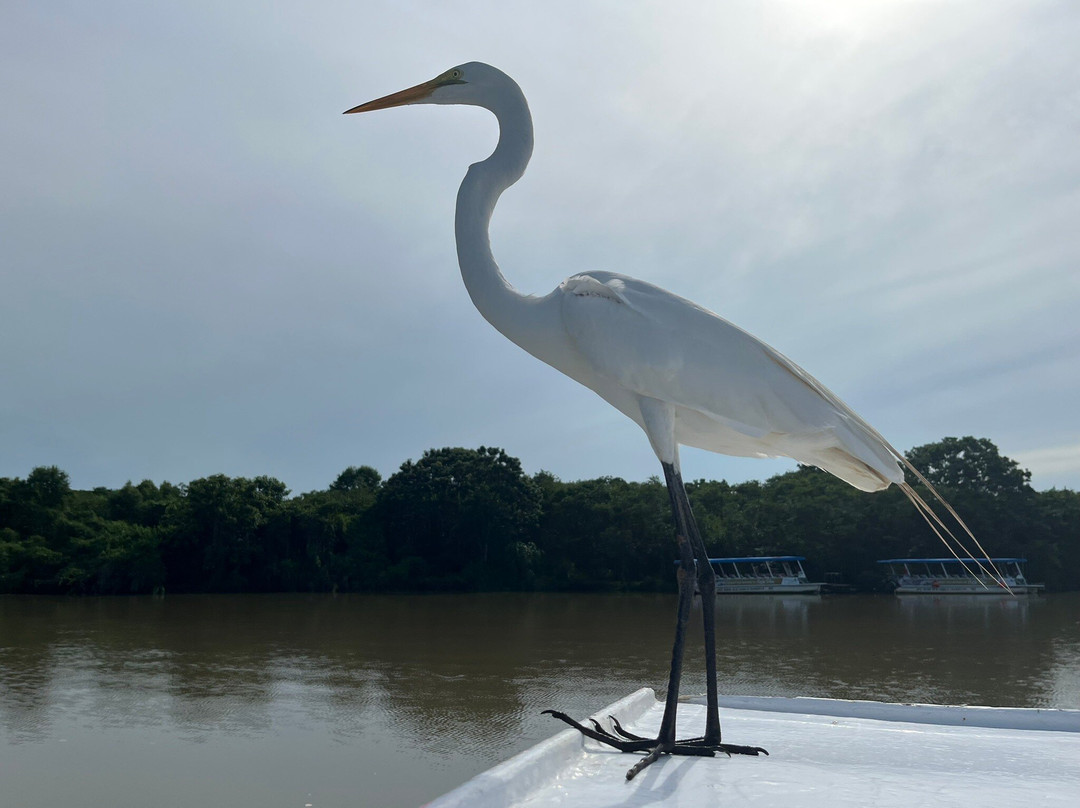 Lucas Croki Tours-Bajamar必去景点