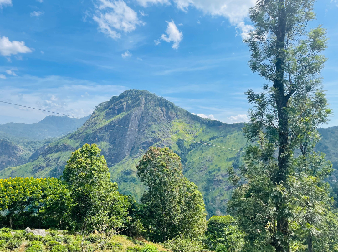 LK Travels & Tours SRI LANKA-卡尔库达必去景点