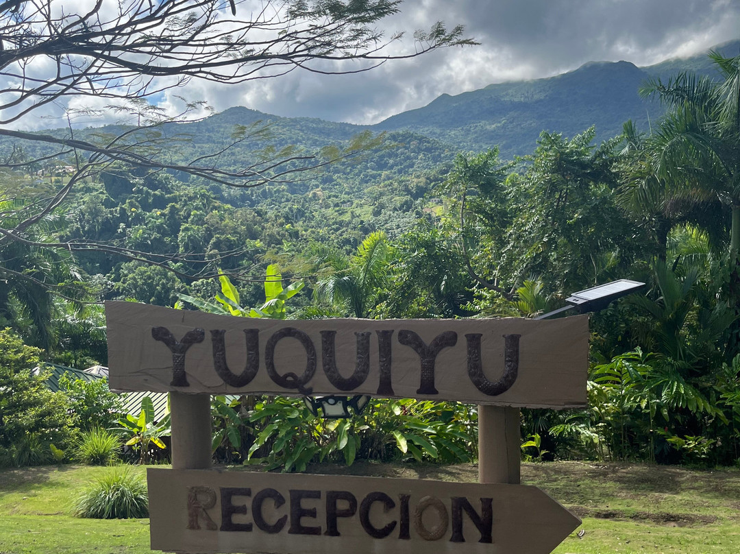 Yuquiyu Treehouses主图