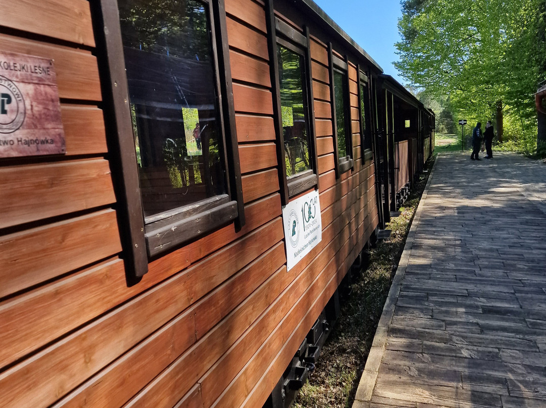 Narrow Gauge Forest Railways-Hajnowka必去景点