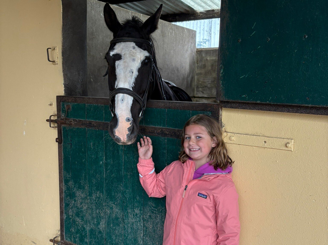 Castlefergus Equestrian-Quin必去景点