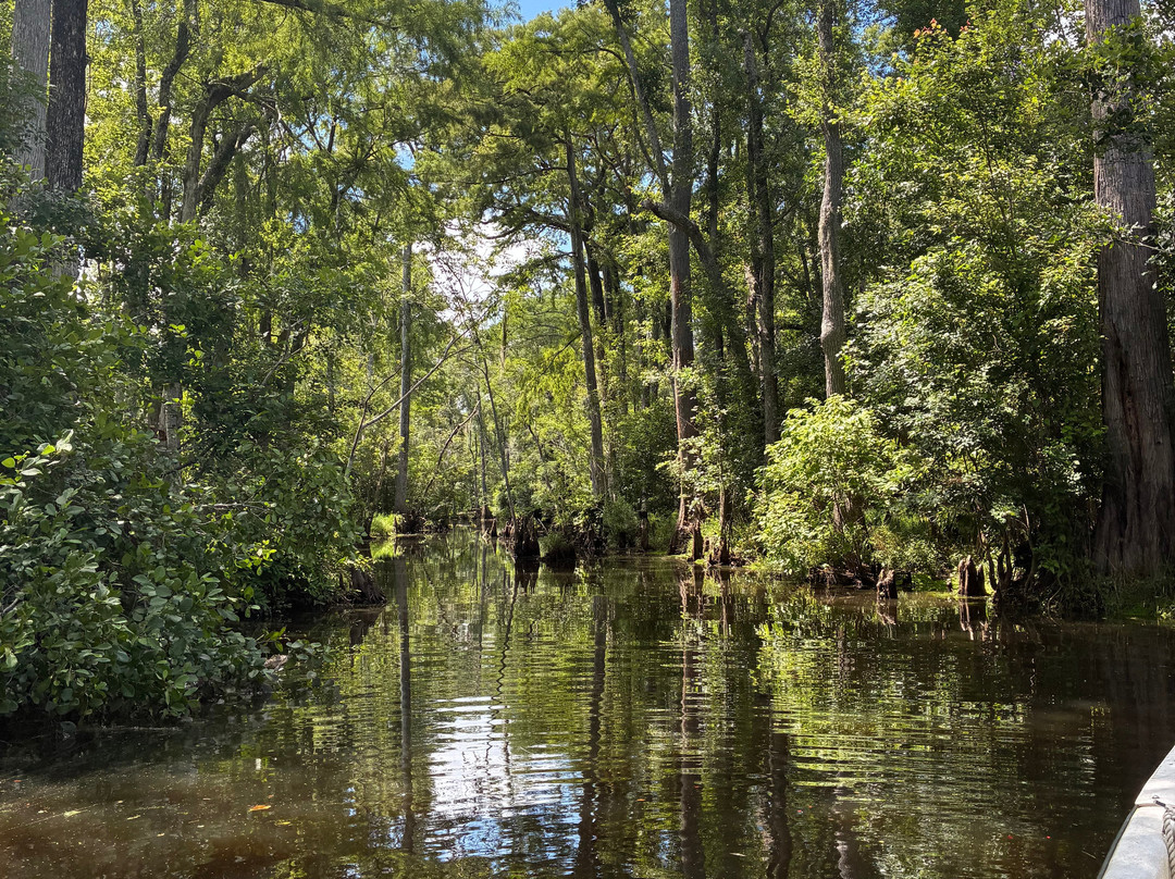 The Swamp Park-Ocean Isle Beach必去景点