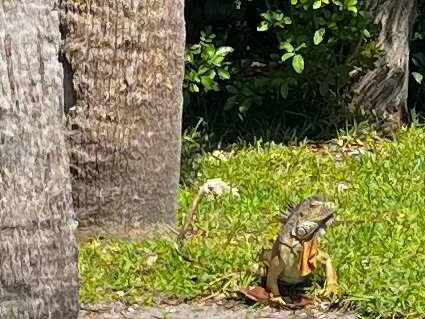 Seahorse Guesthouse主图