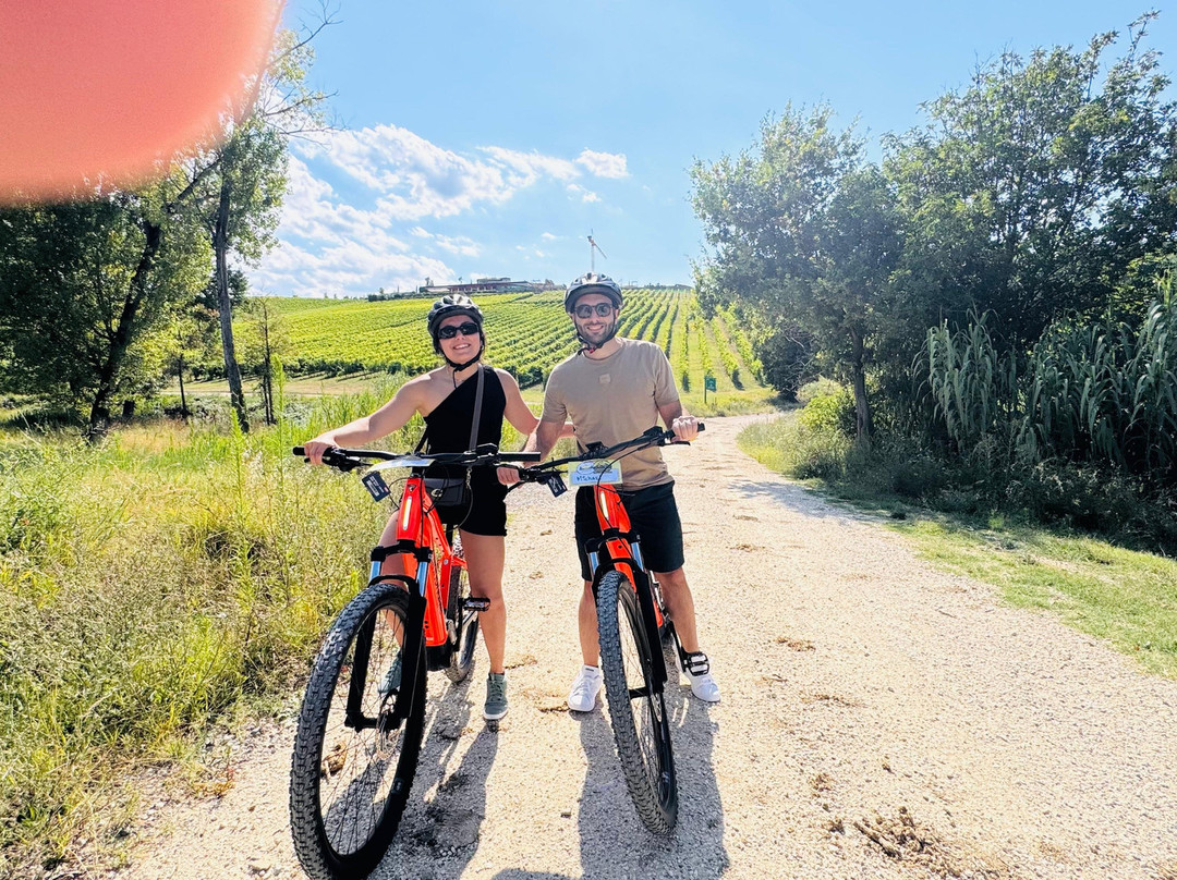 Ciclowine Bike Experiences-Cori必去景点