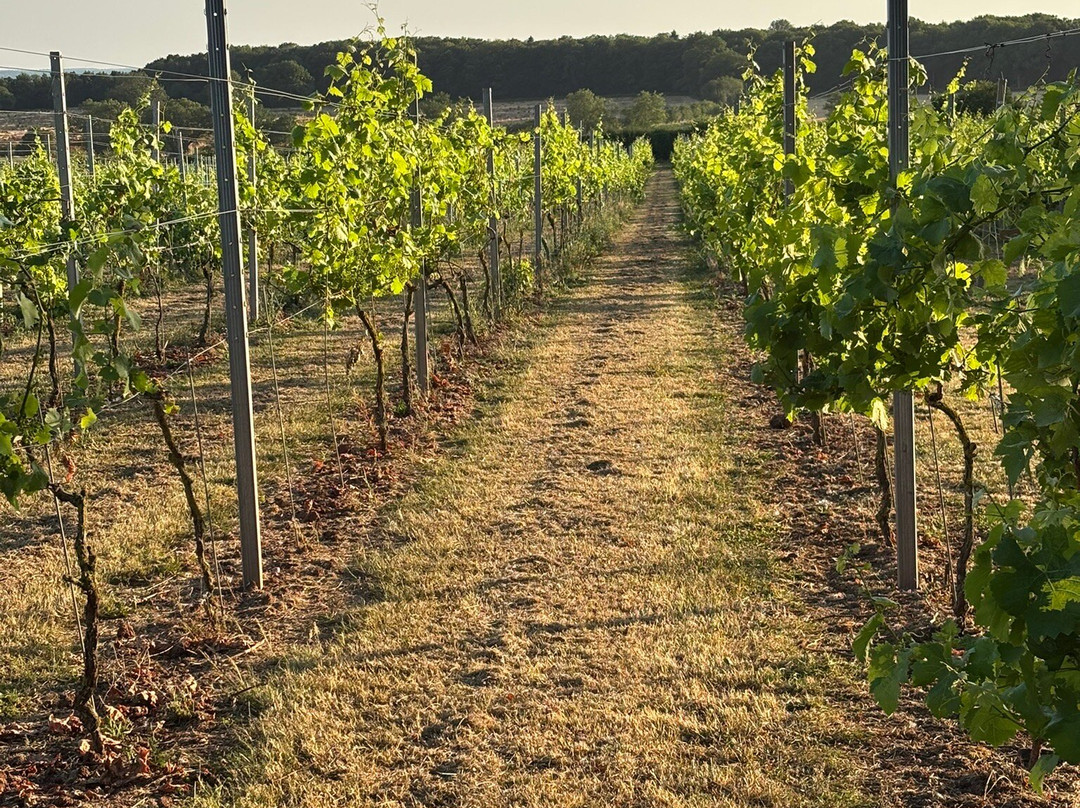 Blabers Hall Wine Estate-Fillongley必去景点