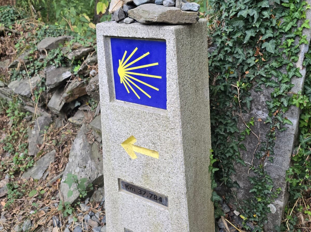 Tubuencamino-圣地亚哥德孔波斯特拉必去景点