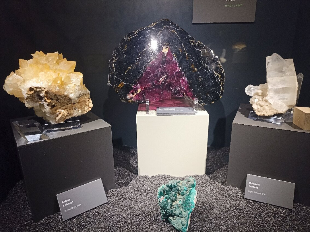 Luxembourg National Museum of Natural History-卢森堡城必去景点