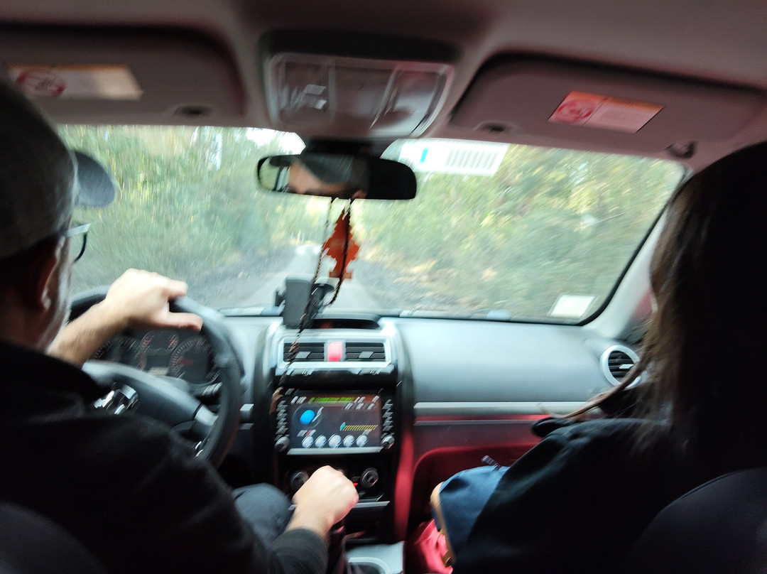 Iglesia San Francisco-Lican Ray必去景点