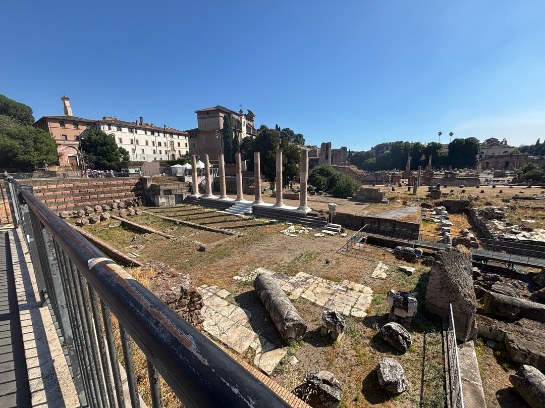 Skip the Line - Colosseum, Roman Forum, and Palatine Hill Tour-罗马必去景点