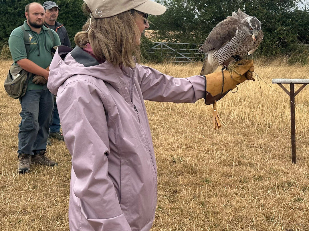 Ben Long Falconry Courses and Experience Days-Quedgeley必去景点