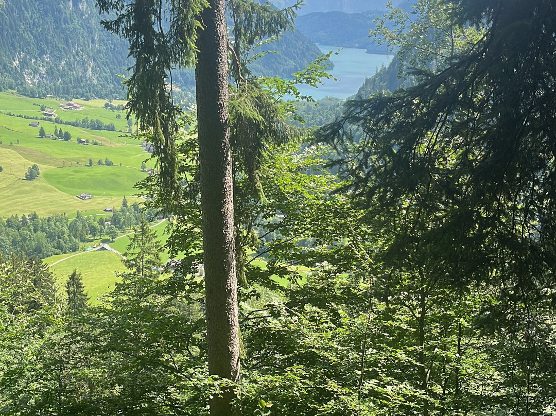 Gasthaus Richisau主图