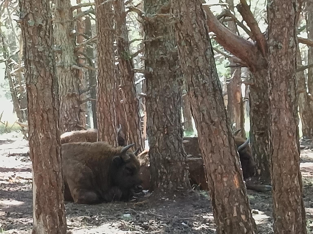 Reserve Biologique des Monts d'Azur-Thorenc必去景点