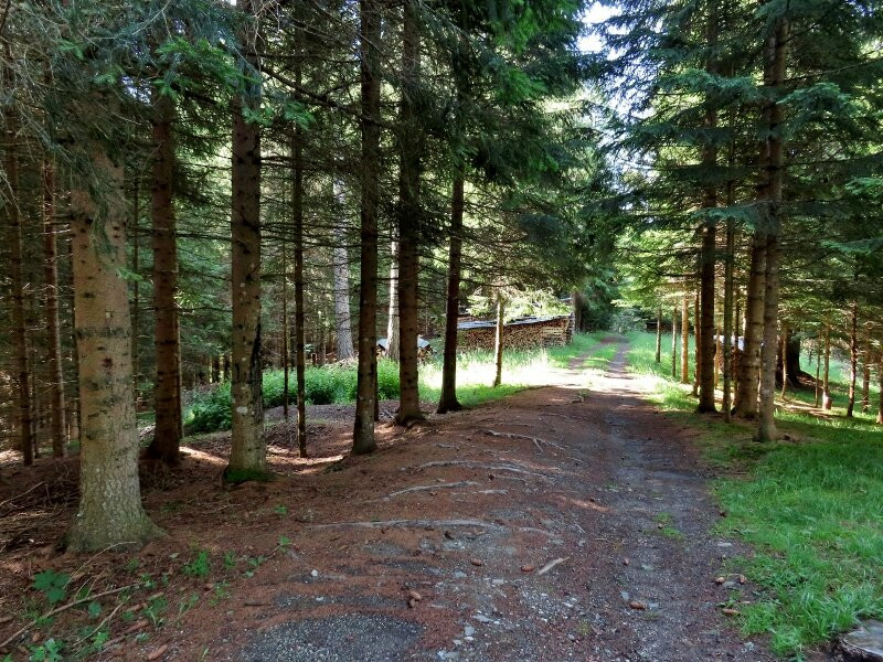 Alta Via Dell'orso-Colle Santa Lucia必去景点