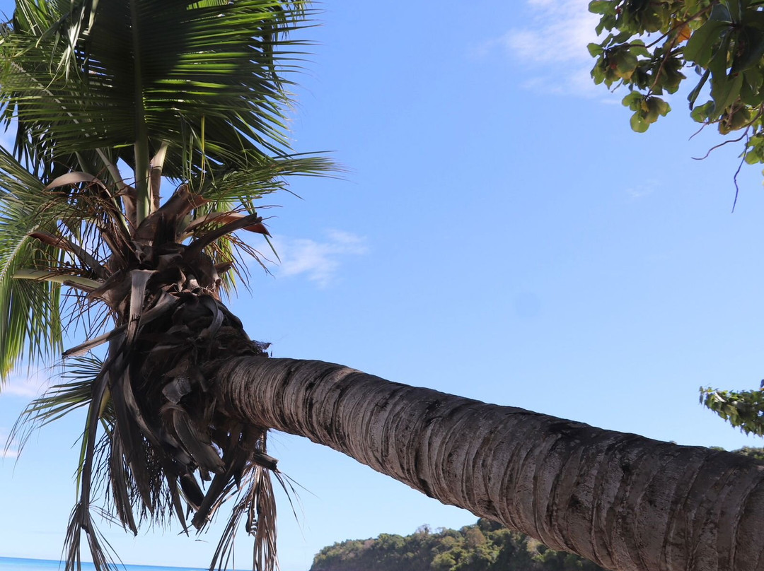 Nosy Be Promenade Private Day Tours-Ambatoloaka必去景点