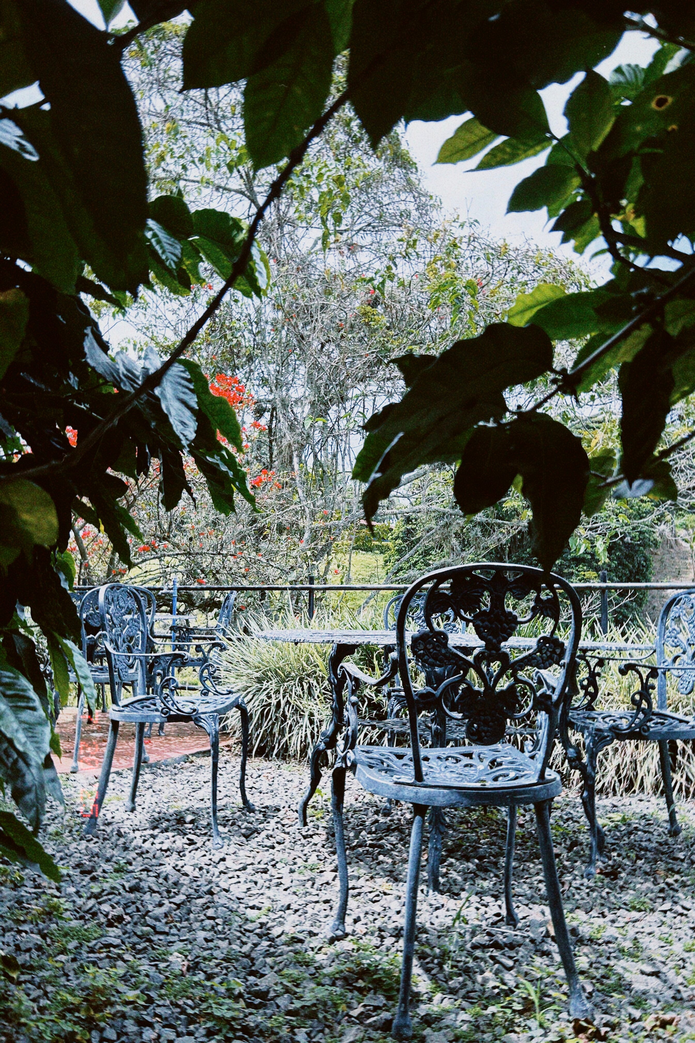 Hotel Bosques Del Samán - Alcalá-官方