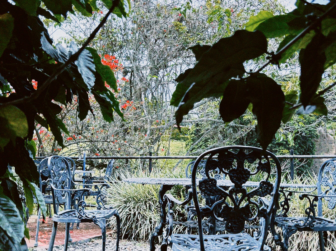 Hotel Bosques Del Samán - Alcalá主图