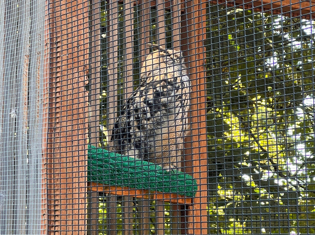 卡斯卡底猛禽中心-尤金必去景点