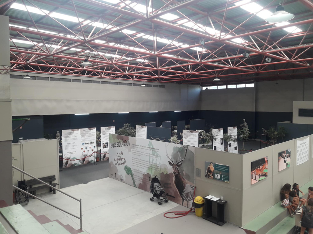 Zoo da Maia-Maia必去景点