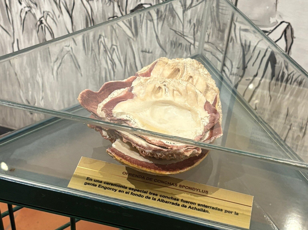 Museo Amantes de Sumpa-Santa Elena必去景点